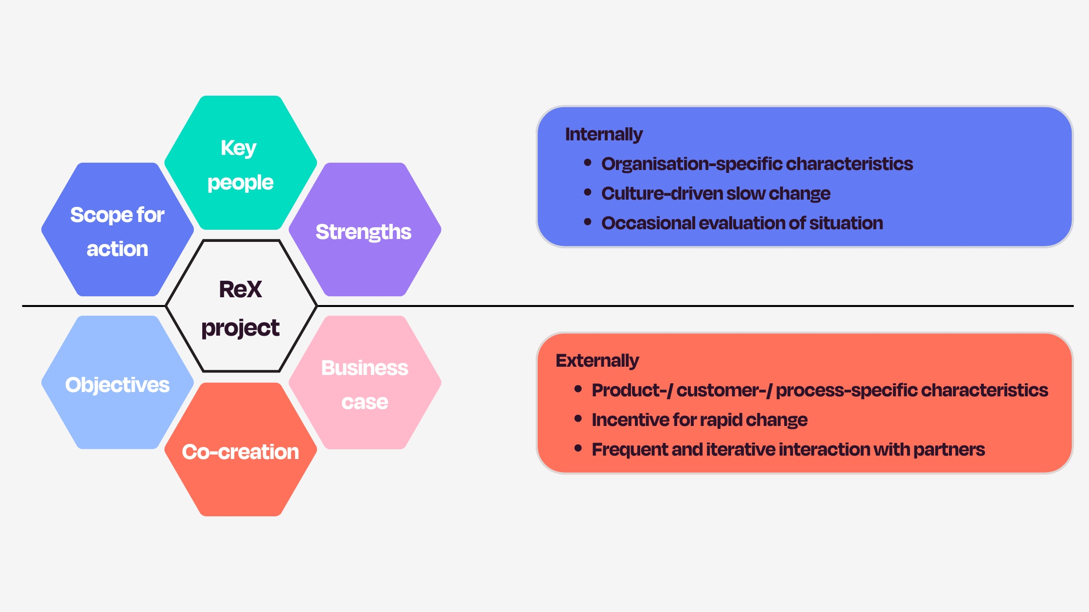 Six building blocks for successful ReX initiatives