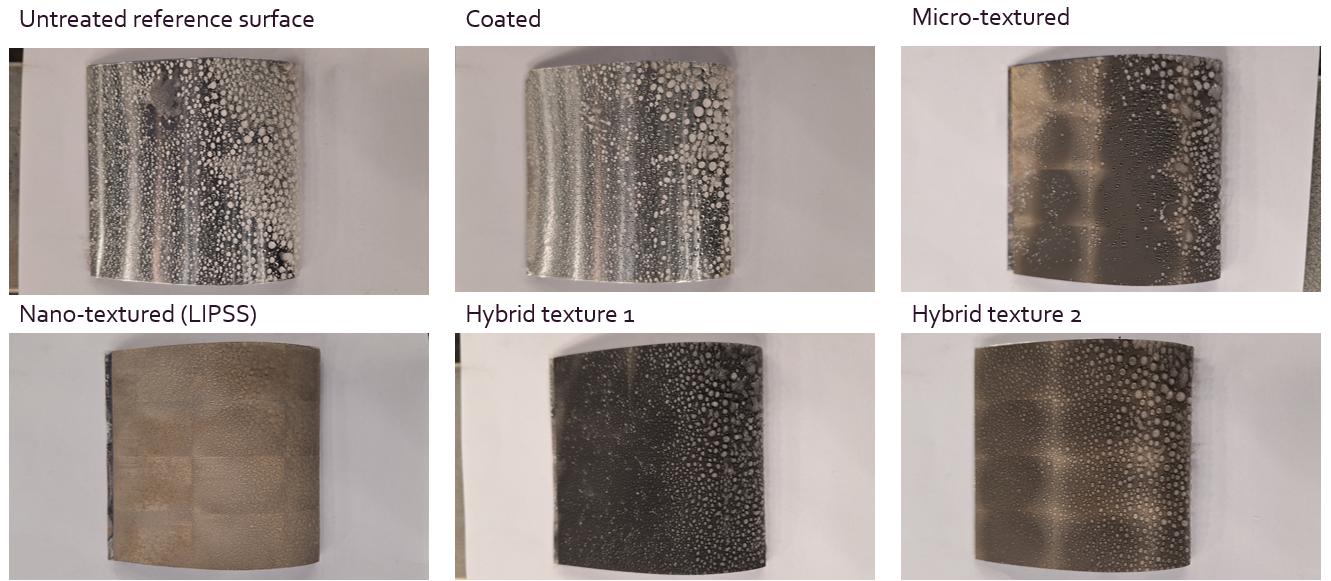 Image of the 6 samples