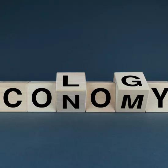 Economy ecology crossspelled with letter cubes on black background