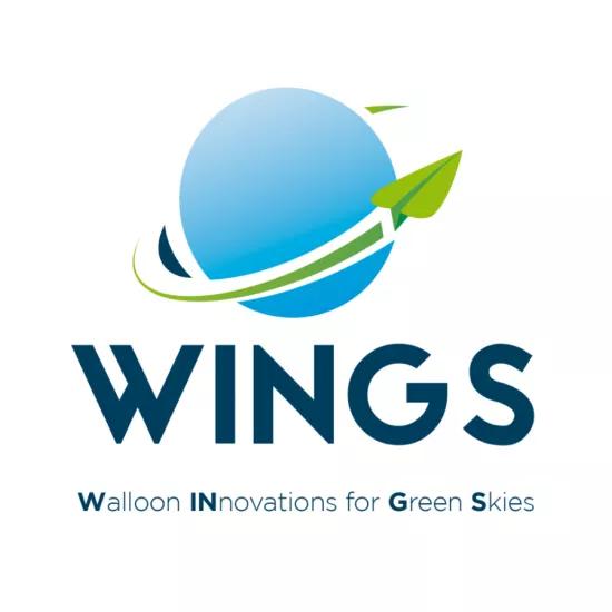 PIT-WINGS project logo