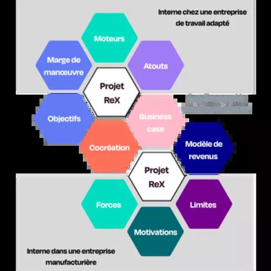 Schema cornerstone ReX FR (2)