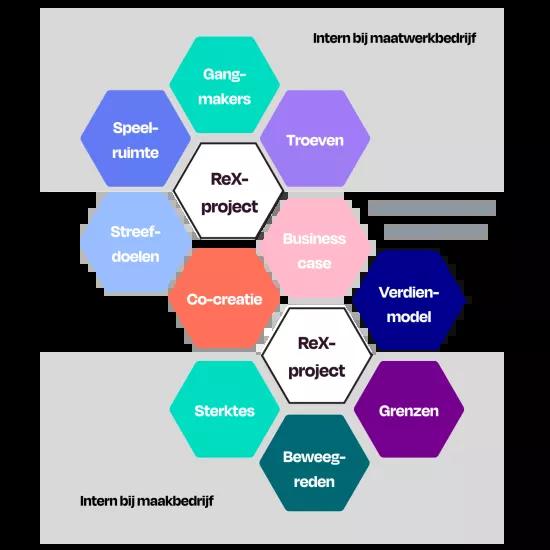 Tabellen en schema's REX reeks (10) png