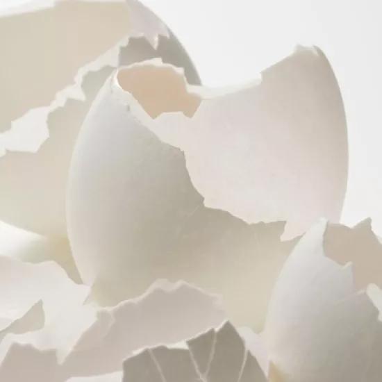 A bunch of egshells.