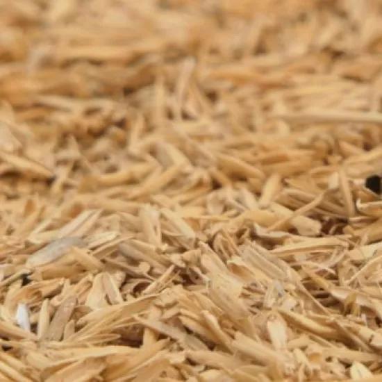 An image representing a large heap of rice husks