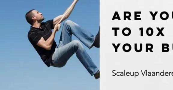 Banner scaleup vlaanderen