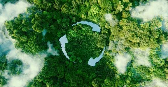 Circular economy icon round arrows seen from sky as water ponds in a beautiful untouched jungle