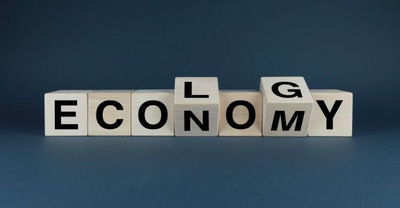 Economy ecology crossspelled with letter cubes on black background