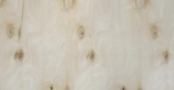 picture of wood texture
