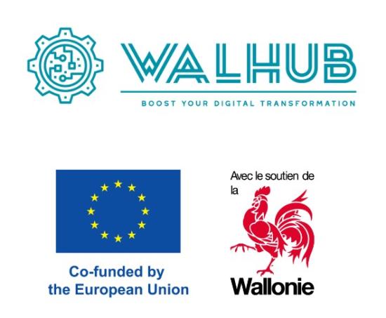 logo Walhub - Co-funded by the European Union