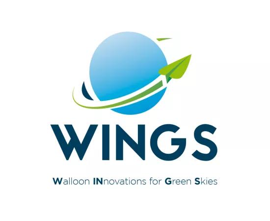 PIT-WINGS project logo