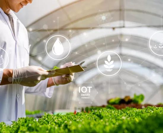 Food industry industry 4.0